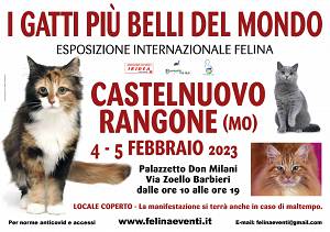 I gatti piu' belli del mondo - esposizione internazionale felina